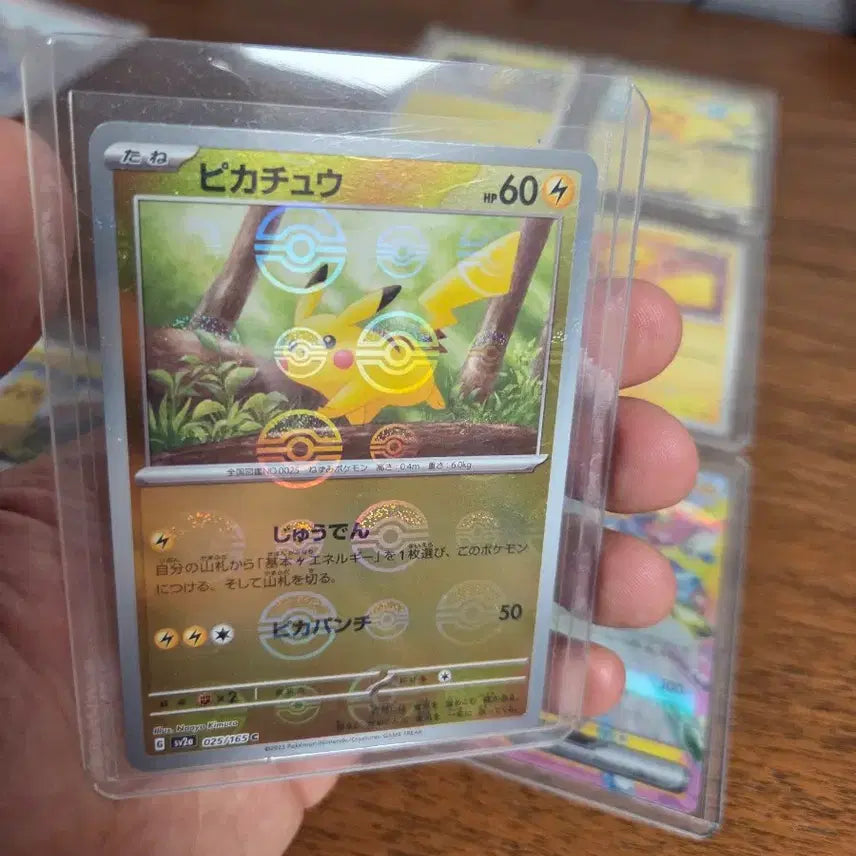 [BUNJANG] Pokemon Card (Japanese Edition) - Marshadow &amp; Machamp GX Tag Team (PSA 10) + Pikachu 8 Types Set / (일본판)[psa10] 포켓몬카드 마샤도 괴력몬 태그 + 피카츄 8종