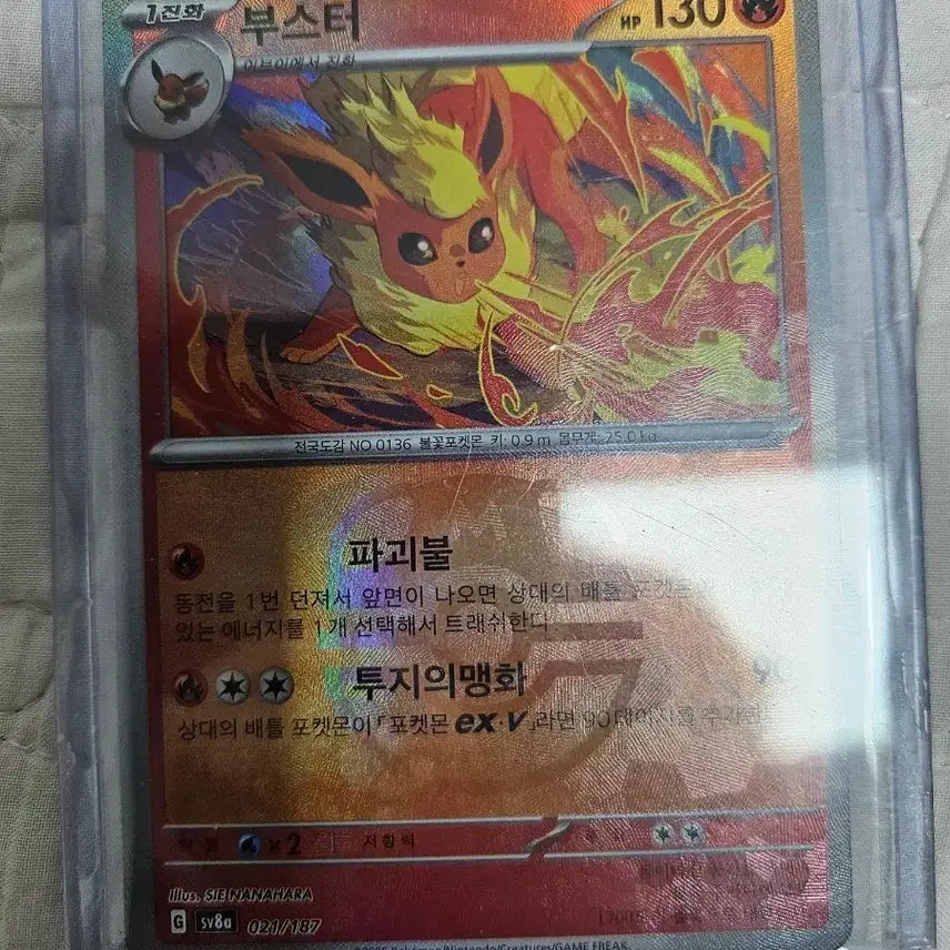 [BUNJANG] Pokemon TCG Terastal Festa Master Ball Booster / [포켓몬카드] 테라스탈페스타 마스터볼 부스터