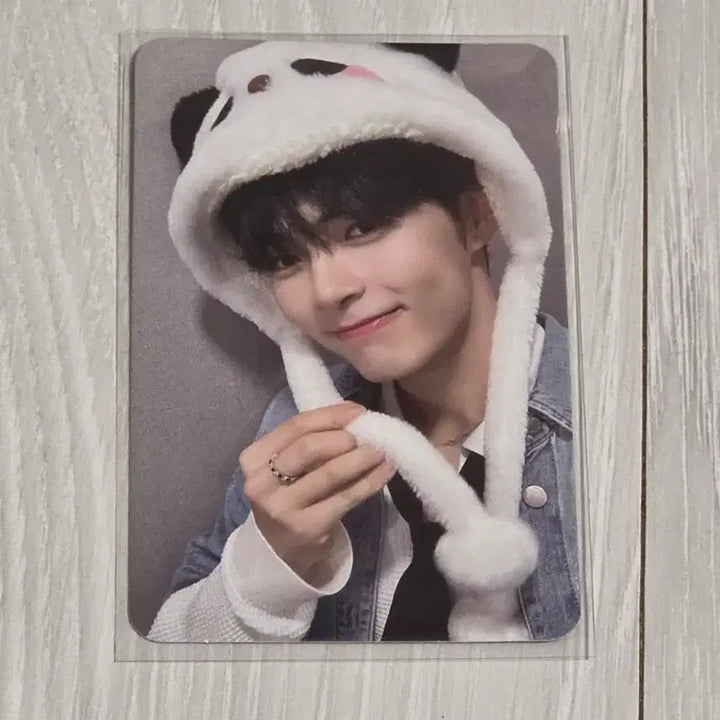 [BUNJANG] ZB1 Sung Hanbin Panda Photocard / 제로베이스원 성한빈 판다포카