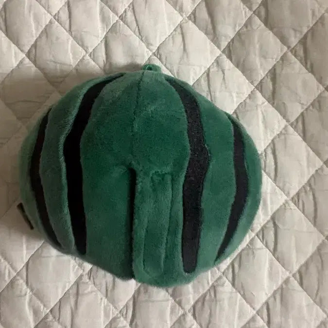 [BUNJANG] Day6 Watermelon Costume Plush Doll / 데이식스 인형 수박 코스튬