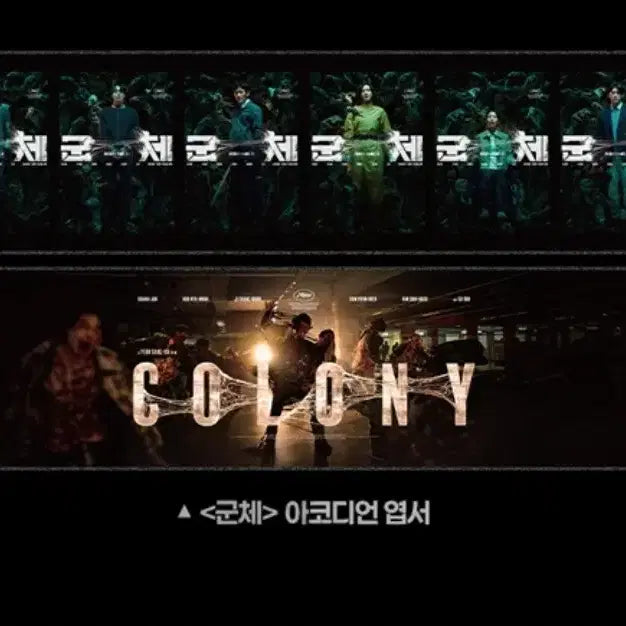 [BUNJANG] CGV TTT Accordion Postcard Bundle / 군체 TTT / 아코디언 엽서 일괄 굿즈 CGV