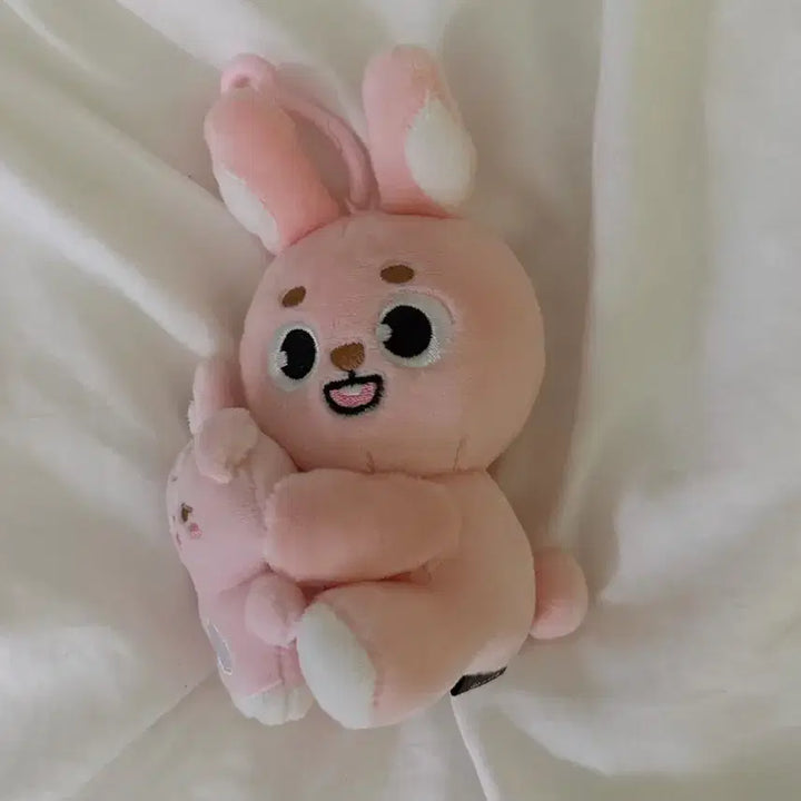 [BUNJANG] Day6 Magnet Plush Bundle Set / 데이식스 마그넷 플러시 필끼팔아요