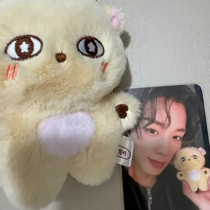 [BUNJANG] Park Jihoon Sosimi Doll Photocard / 박지훈 소심이 인형