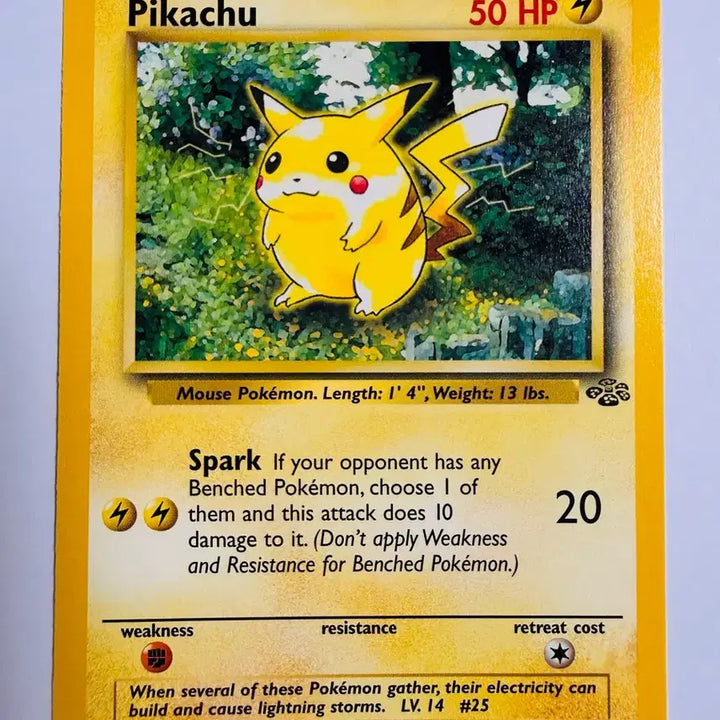 [BUNJANG] 1999 Pokemon Jungle 60 Pikachu (PSA 10 Potential) / [등급용 최상급/PSA 10 도전] 1999 포켓몬스터 정글 60 피카츄