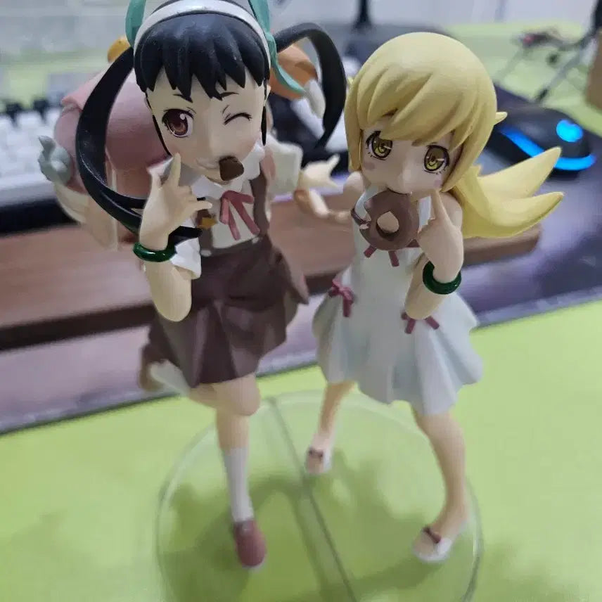 [BUNJANG] Taito Monogatari Mayoi Shinobu Figure Set / 타이토 모노가타리 마요이 시노부 피규어 세트