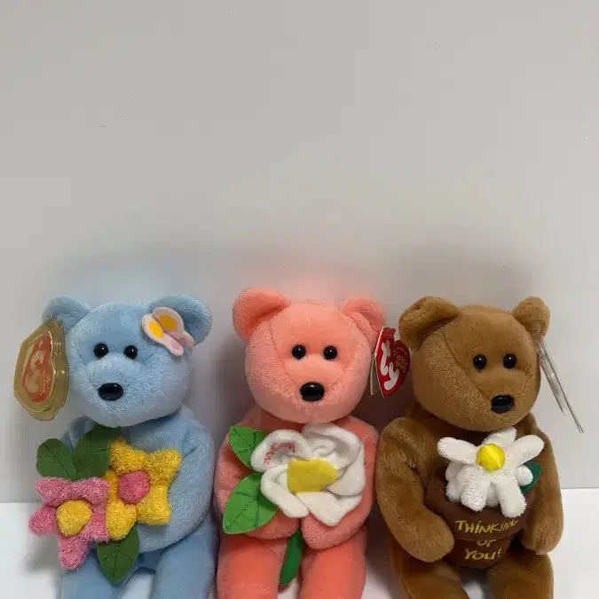 [BUNJANG] Ty Beanie Babies Vintage Bear Set / ty 베어 미국 빈티지 티와이베어 곰인형 세트 판매