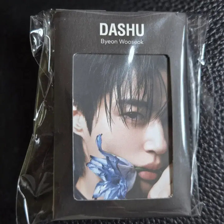 [BUNJANG] Byeon Woo-seok (Byeon Woo Seok) DASHU Photocard &amp; Keycap Keyring / 변우석 배우님 다슈(DASHU) 포카 &amp; 키캡 키링