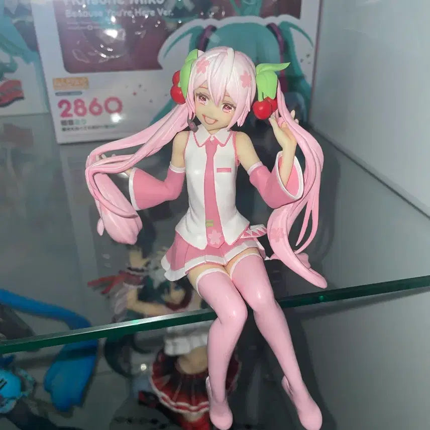 [BUNJANG] Sakura Miku Noodle Stopper Figure / 사쿠라미쿠 누들스토퍼