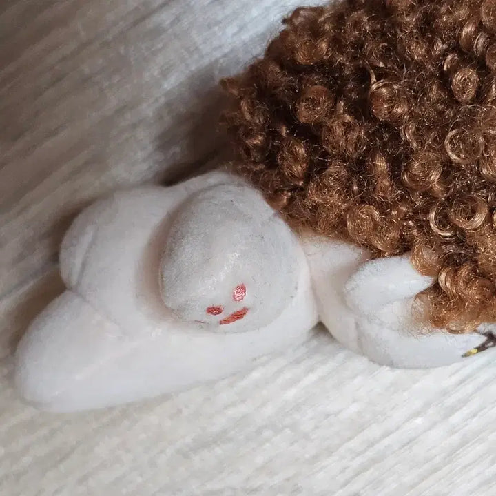 [BUNJANG] Lee Junho Plush Doll (20cm) / 이준호 속성솜 뽀글잊 1체
