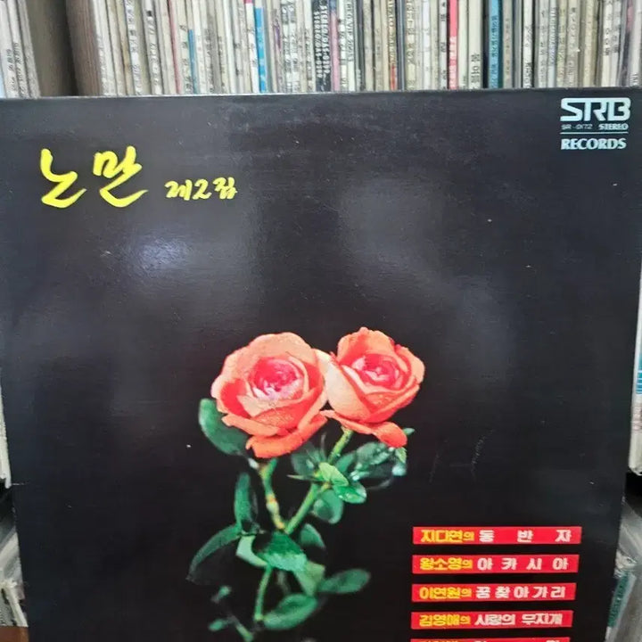 [BUNJANG] Norman 2nd Album LP Record / 노만 2집 LP 레코드판