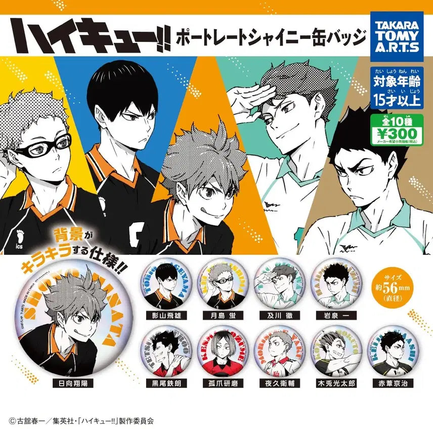 [BUNJANG] Haikyuu!! Oikawa Shini Hologram Can Badge / 하이큐 포트레이트 샤이니 홀로그램 캔뱃지 가챠 오이카와