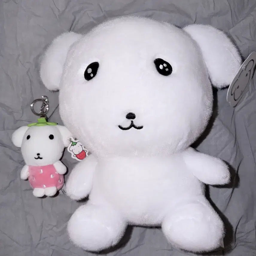 [BUNJANG] Dugunadi Strawberry Plush Bundle Set (Medium) / 듀가나디 딸기 인형 나안아 중형 인형 일괄