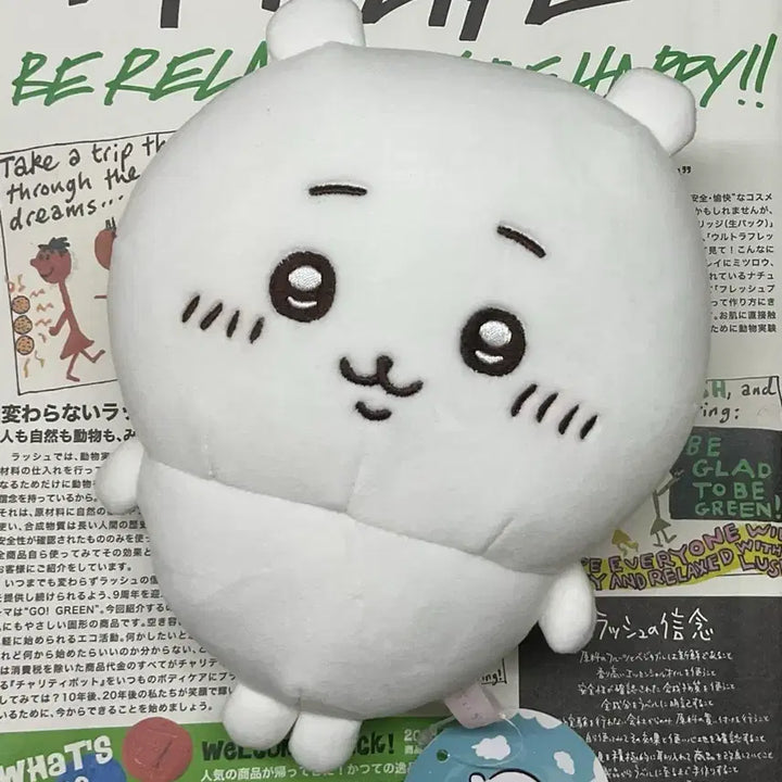 [BUNJANG] Chiikawa Mochi Plush S / 치이카와 모찌 인형  S