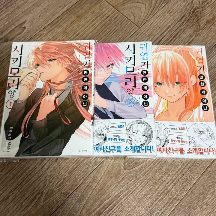 [BUNJANG] Shikimori&