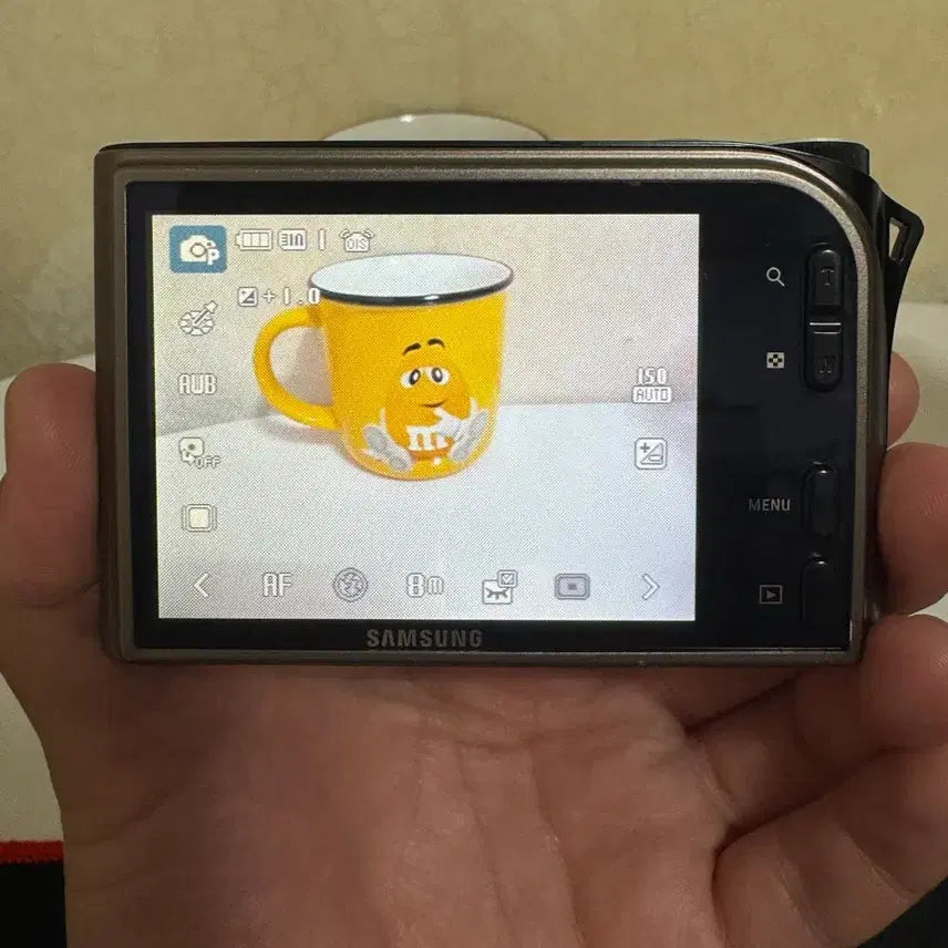 [BUNJANG] Samsung VLUU NV100HD Titanium Digital Camera / 삼성 VLUU NV100HD 티타늄디카