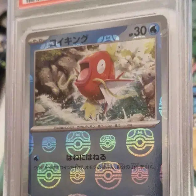 [BUNJANG] Pokemon 151 Master Ball Holo Magikarp PSA 10 Graded Card / 151 잉어킹 마스터볼 일판 PSA10
