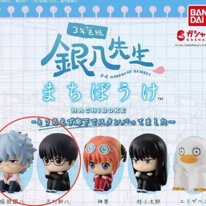 [BUNJANG] Gintama 3Z Machiboke Gachapon Bundle Set: Gintoki &amp; Shinpachi (Sealed) / 미개봉 일괄) 은혼 마치보케 가챠 3학년 Z반 삼젯 긴토키 신파치 일괄