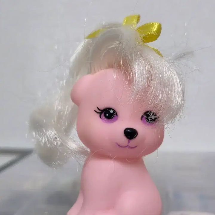 [BUNJANG] Jujube Dog Set / 쥬쥬 강아지세트