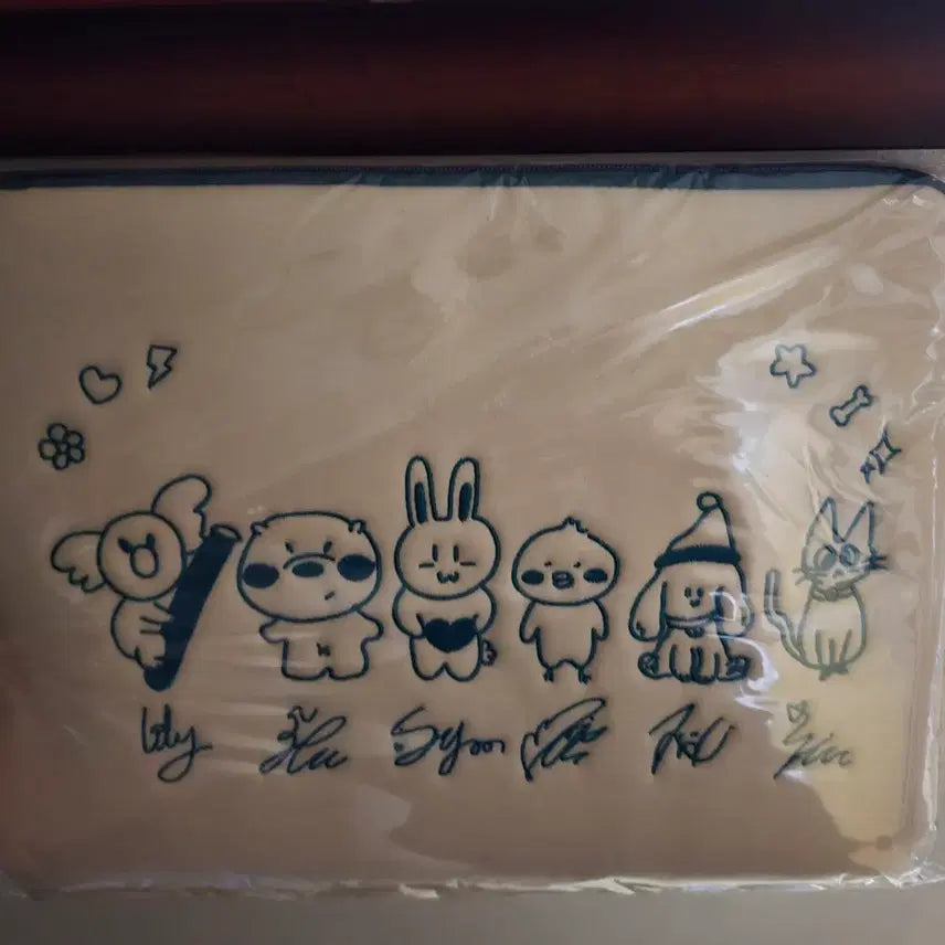 [BUNJANG] NMIXX Jammy Pouch / 엔믹스 jammy 파우치 팝니다