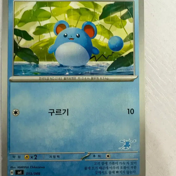 [BUNJANG] Marill Pokemon Card / [귀여운 포켓몬카드] 마릴