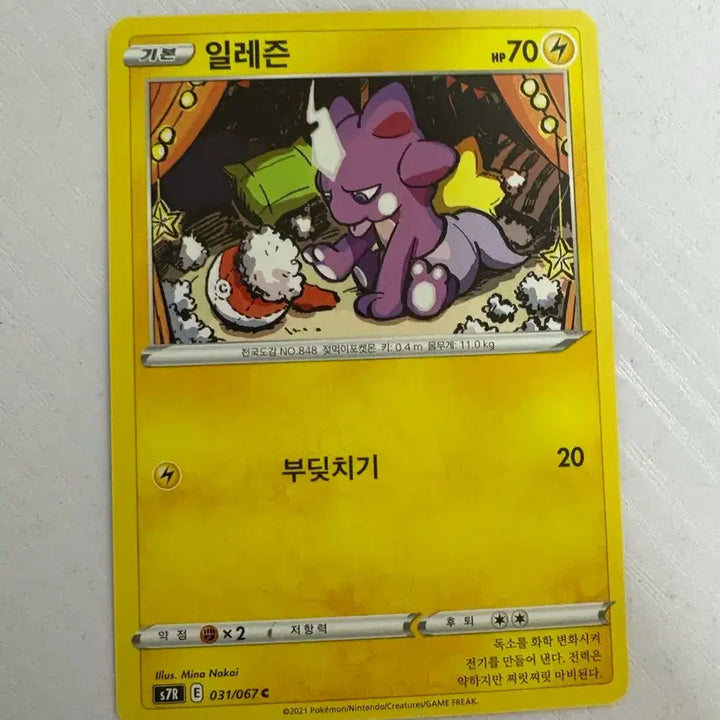 [BUNJANG] Pokemon Card Illezun / [귀여운 포켓몬카드] 일레즌