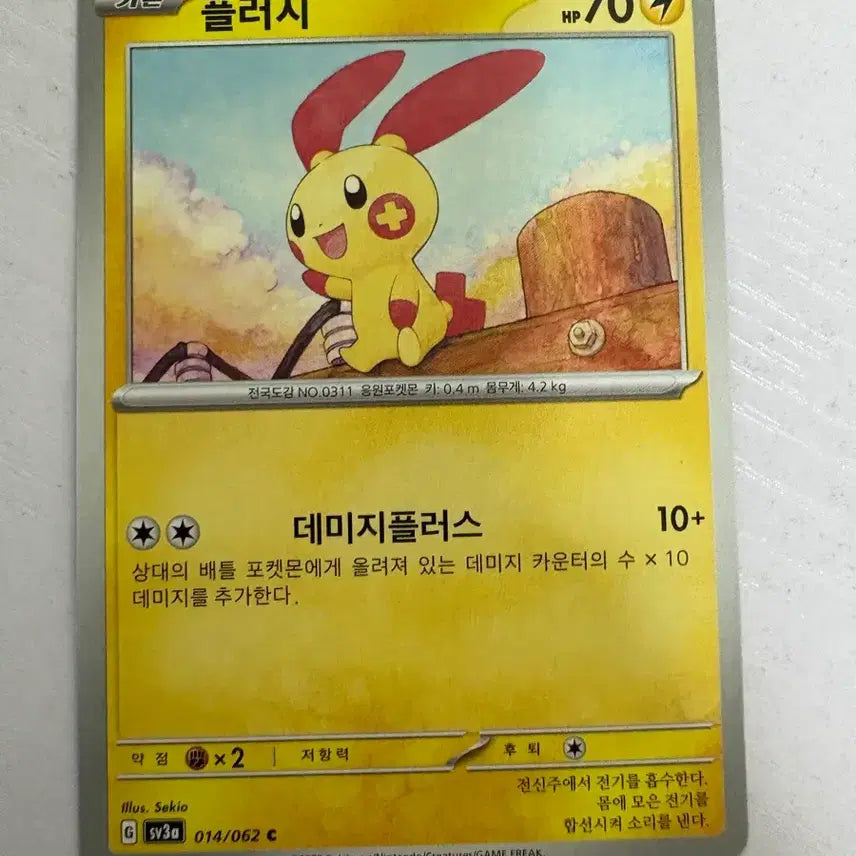 [BUNJANG] Cute Pokemon Plush / [귀여운 포켓몬카드] 플러시