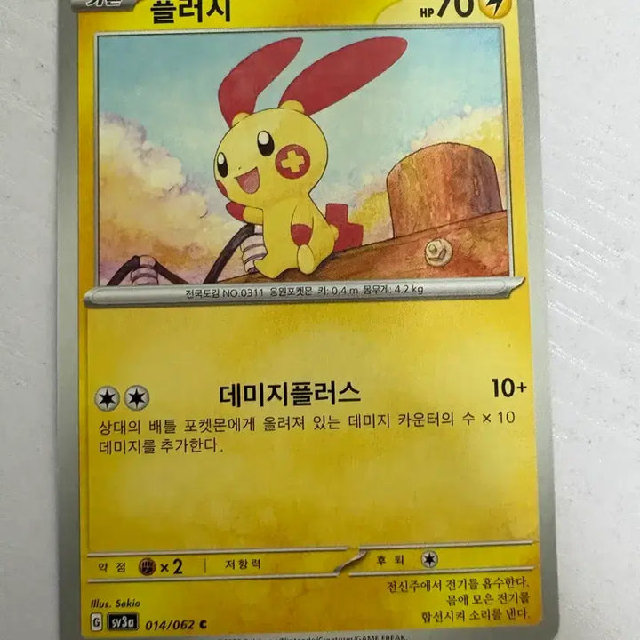 [BUNJANG] Cute Pokemon Plush / [귀여운 포켓몬카드] 플러시