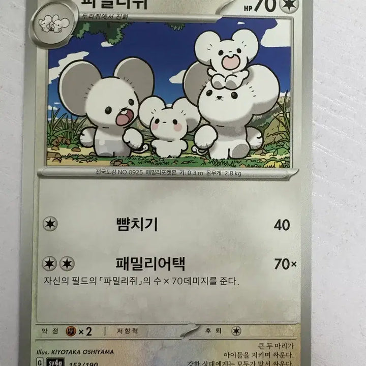 [BUNJANG] Cute Pokemon Card Family / [귀여운 포켓몬카드] 파밀리쥐