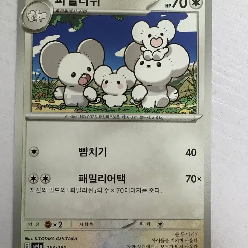 [BUNJANG] Cute Pokemon Card Family / [귀여운 포켓몬카드] 파밀리쥐
