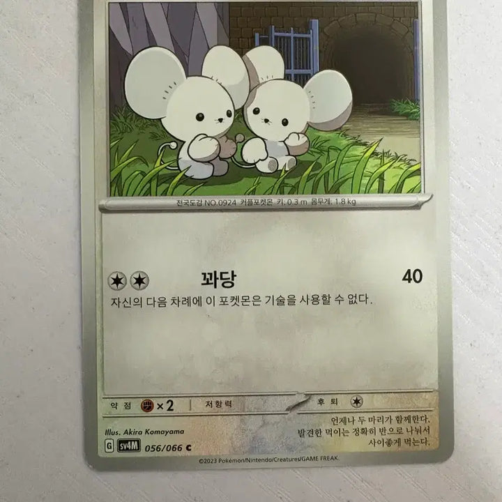 [BUNJANG] Pokemon Card Sandshrew / [귀여운 포켓몬카드] 두리쥐