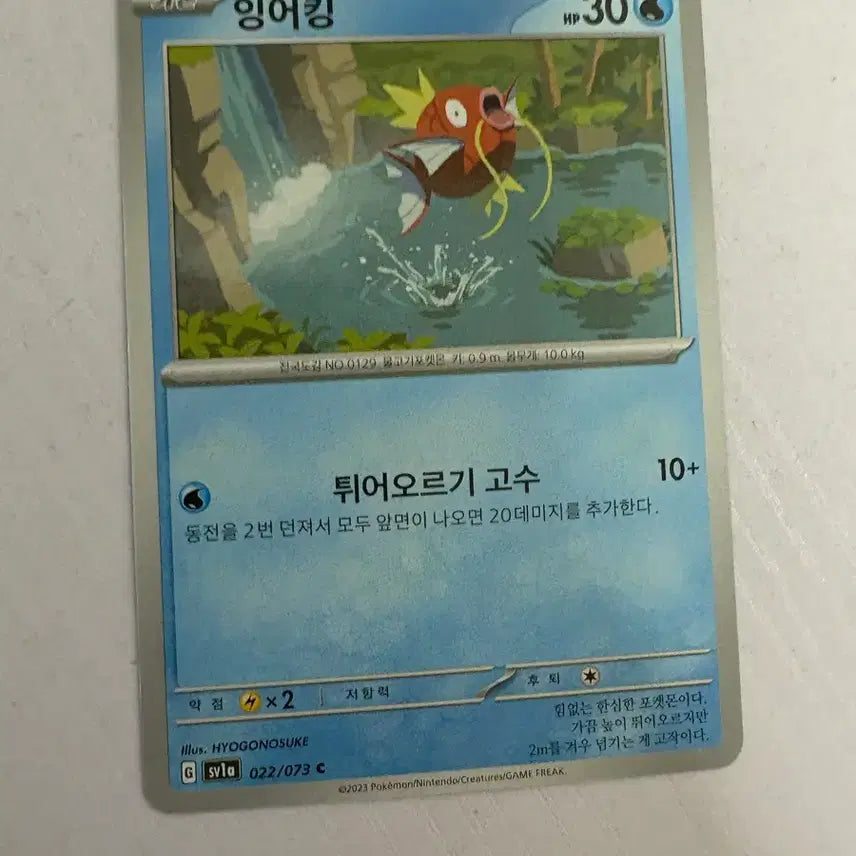 [BUNJANG] Pokemon Card Magikarp / [귀여운 포켓몬카드] 잉어킹