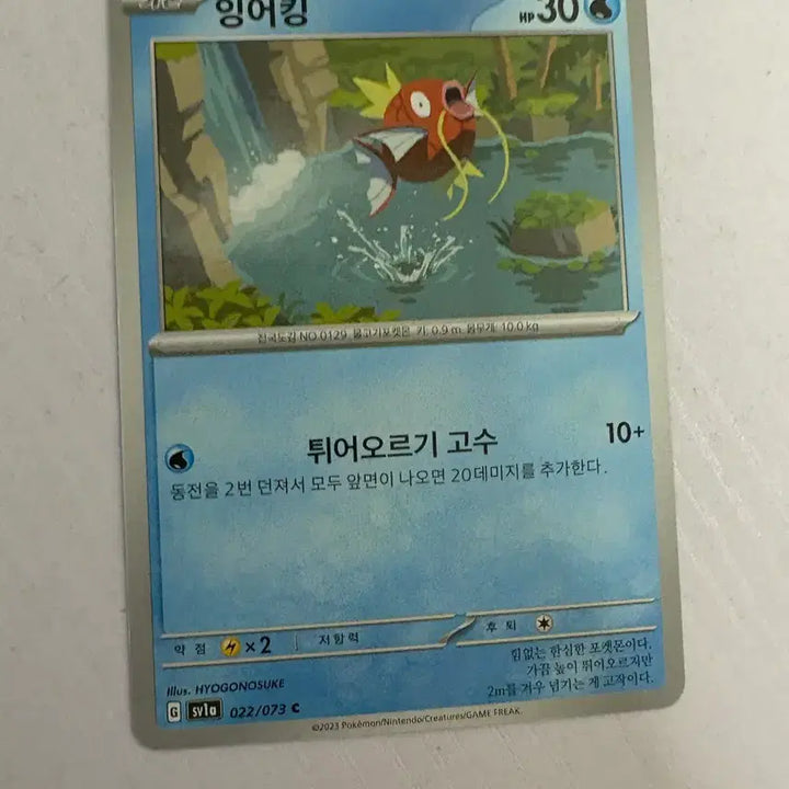 [BUNJANG] Pokemon Card Magikarp / [귀여운 포켓몬카드] 잉어킹