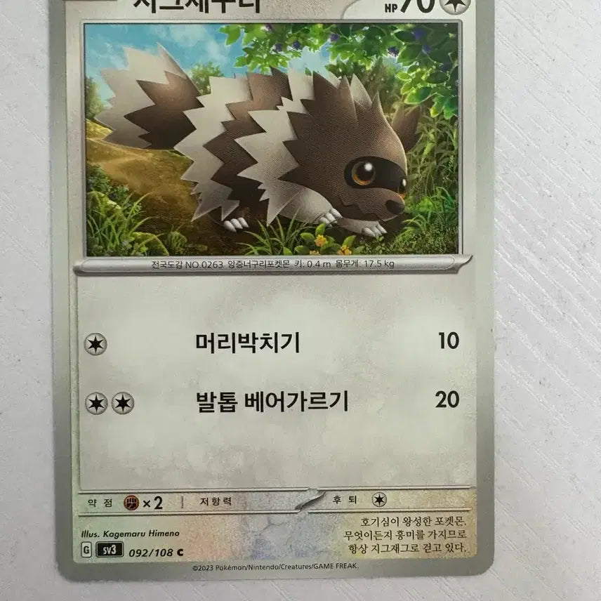 [BUNJANG] Pokemon Card (Cute Design) - Dwebble / [귀여운 포켓몬카드] 지그제구리