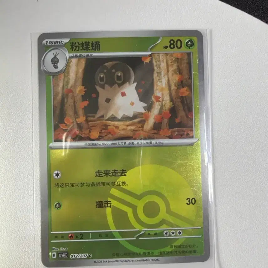 [BUNJANG] Pokemon Card Paldean Winds Monbol Holo / 포켓몬카드 중판 분떠도리 몬볼홀로