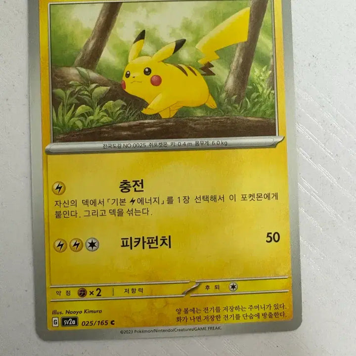 [BUNJANG] Pikachu Pokemon Card / [귀여운 포켓몬카드] 피카츄