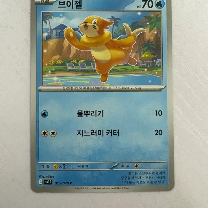 [BUNJANG] Pokemon Card Buizel / [귀여운 포켓몬카드] 브이젤