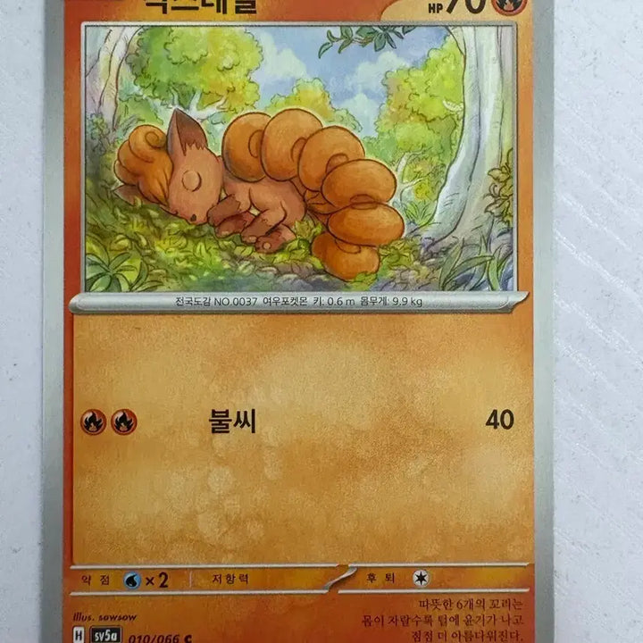 [BUNJANG] Pokemon Card Vulpix / [귀여운 포켓몬카드] 식스테일