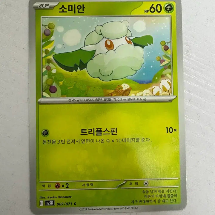 [BUNJANG] Pokemon Card Lot / [귀여운 포켓몬카드] 소미안