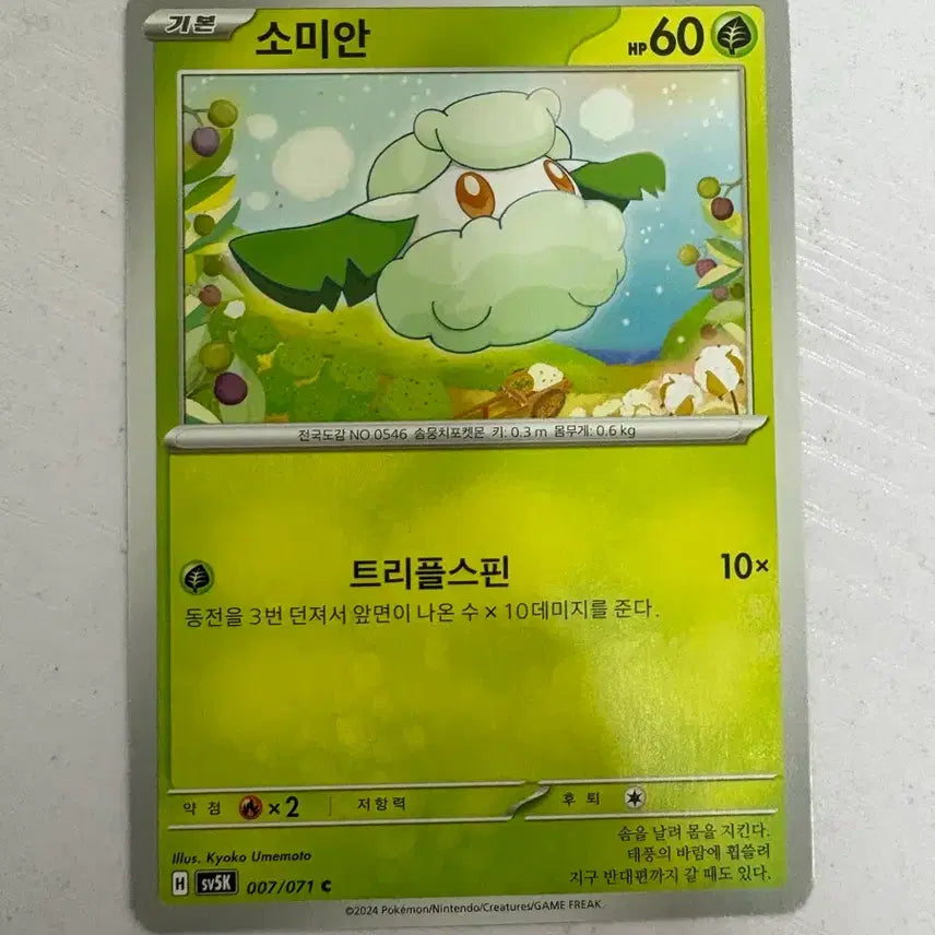 [BUNJANG] Pokemon Card Lot / [귀여운 포켓몬카드] 소미안
