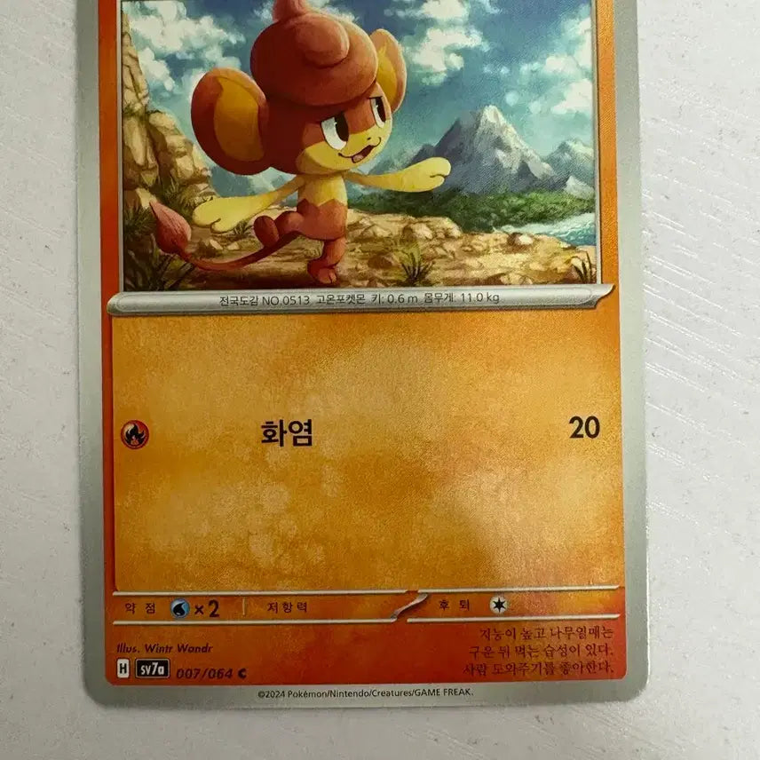 [BUNJANG] Pokemon Card Baoppu / [귀여운 포켓몬카드] 바오프