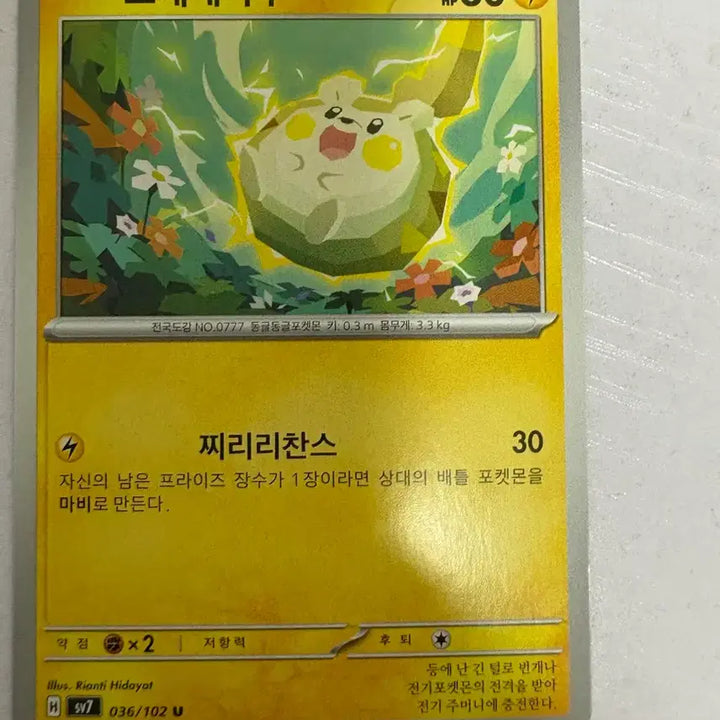 [BUNJANG] Cute Pokemon Card Togedemaru / [귀여운 포켓몬카드] 토게데마루