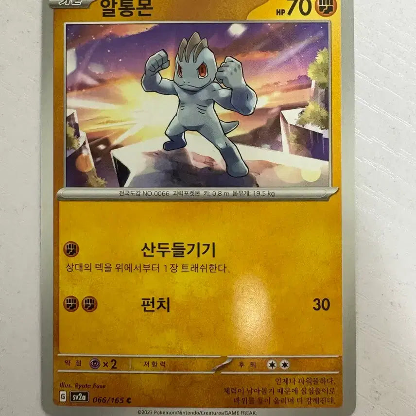 [BUNJANG] Pokemon Machoke Card / [귀여운 포켓몬카드] 알통몬