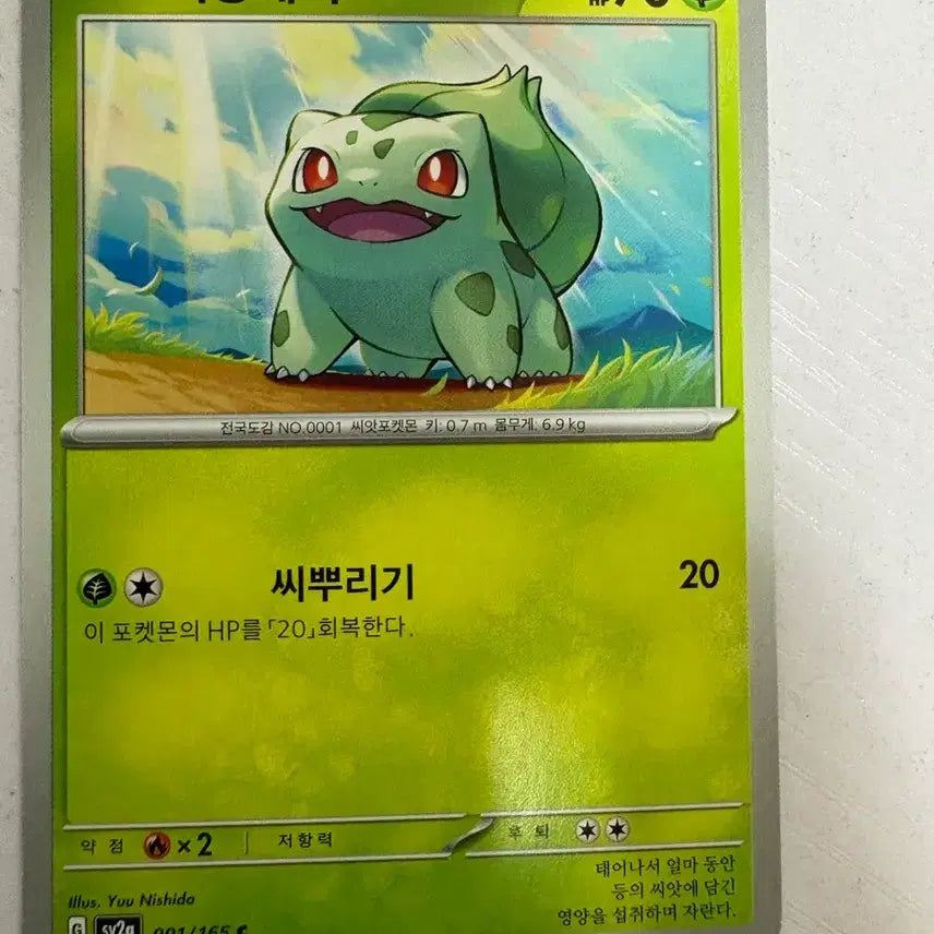 [BUNJANG] Pokemon Card Bulbasaur / [귀여운 포켓몬카드] 이상해씨