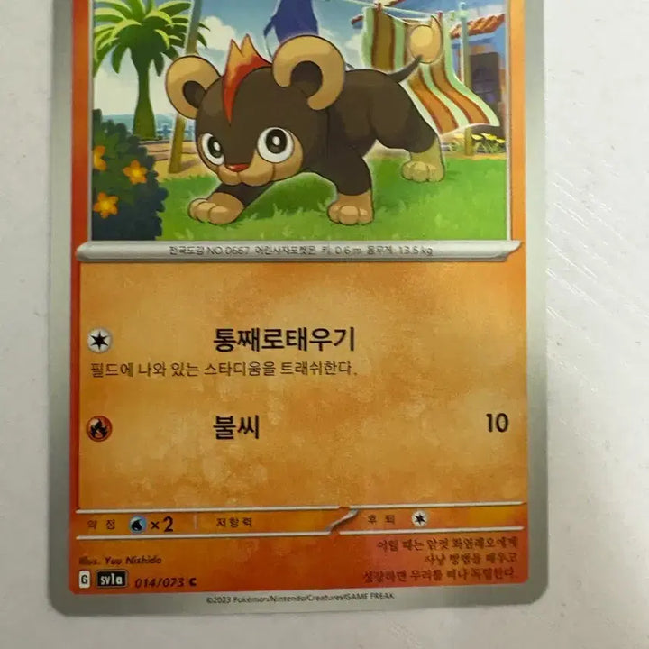[BUNJANG] Cute Pokemon Card - Liko / [귀여운 포켓몬카드] 레오꼬