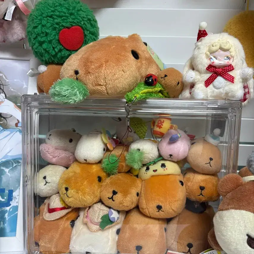 [BUNJANG] Capybara Plush Toys Bundle with Case / 일본 고전 카피바라/ 케이스포함 일괄 / 개별가능