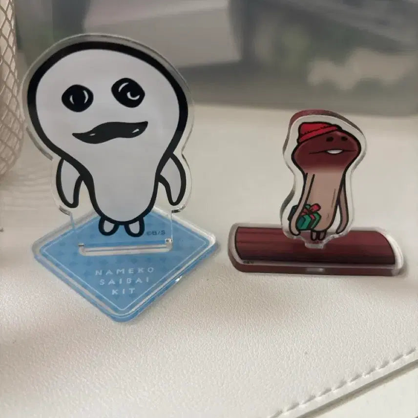 [BUNJANG] Nameko Cultivation Kit Acrylic Stand / 나메코 재배 키트 아크릴 스탠드