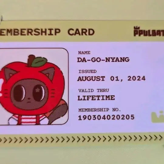 [BUNJANG] TXT 553 Photocard / 투바투 뿔바투 애뿔바투 팝업 구매 포카