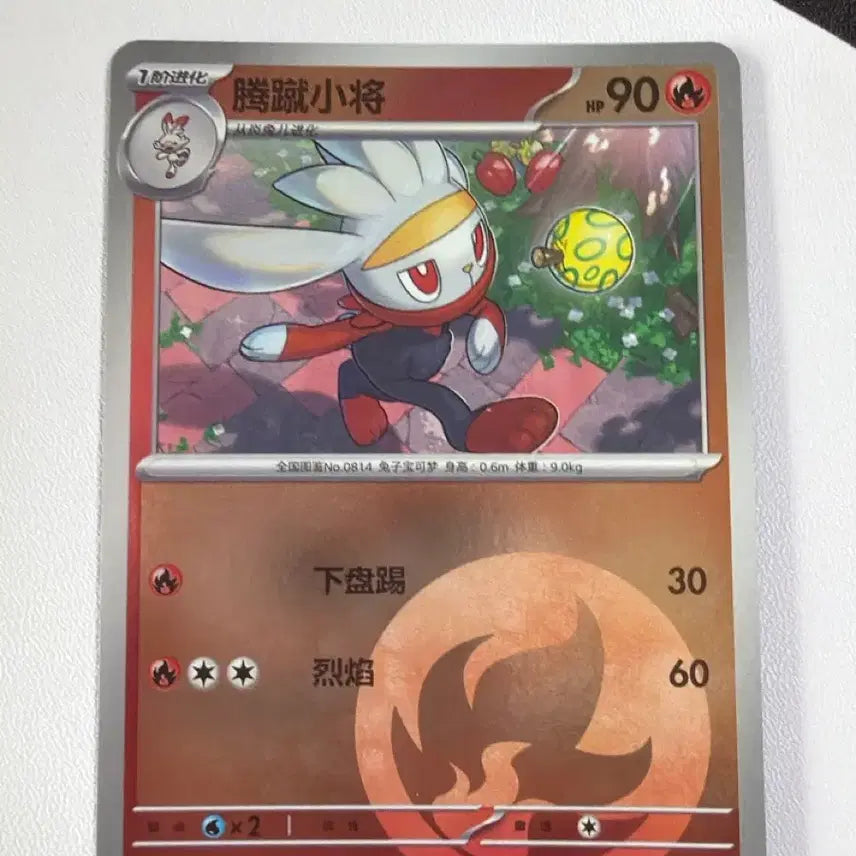 [BUNJANG] Pokemon Card Raboot Special Holographic Type Holographic / 포켓몬카드 중판 래비풋 속성홀로 타입홀로