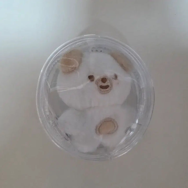 [BUNJANG] DAY6 Day6 Every Day 6 Backpack Charm / 데이식스 쁘쁘멀 돈+백팩 돈