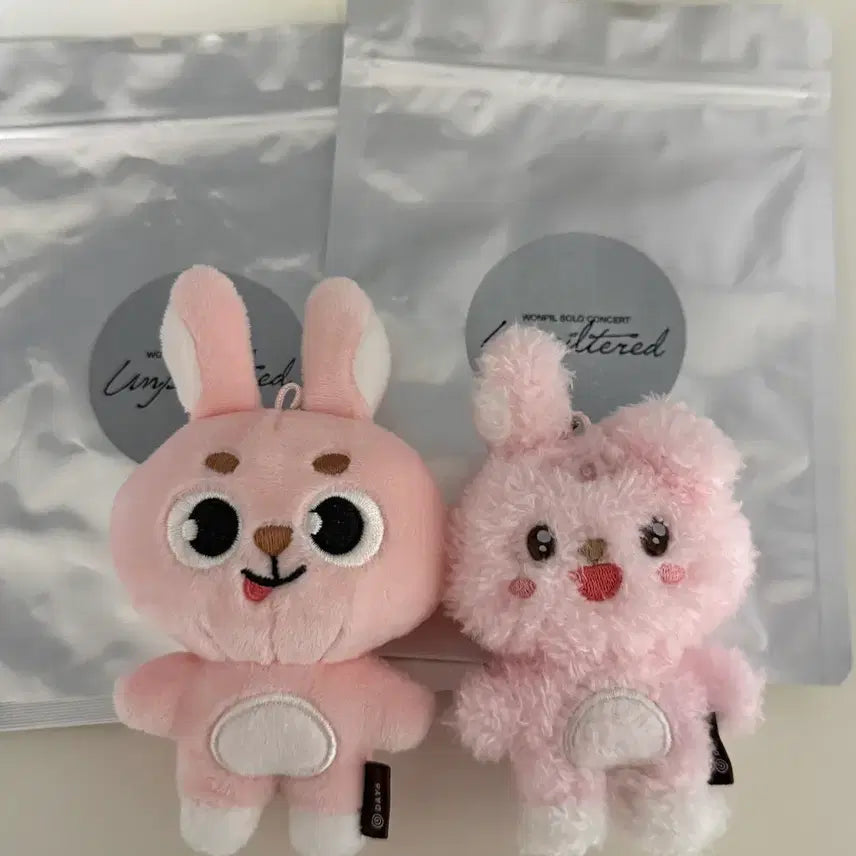 [BUNJANG] DAY6 Wonpil Solo Concert MD Secret Keyring Bundle Set / 원필 솔콘 엠디 시크릿키링(일괄)